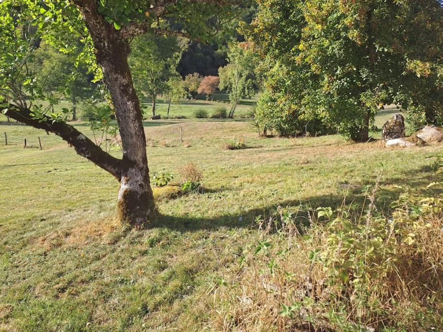 Ferme Auvergnate *